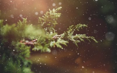 28.12.22 | 06.01.23 | 03.02.23  Drei Gespräche mit deiner Seele